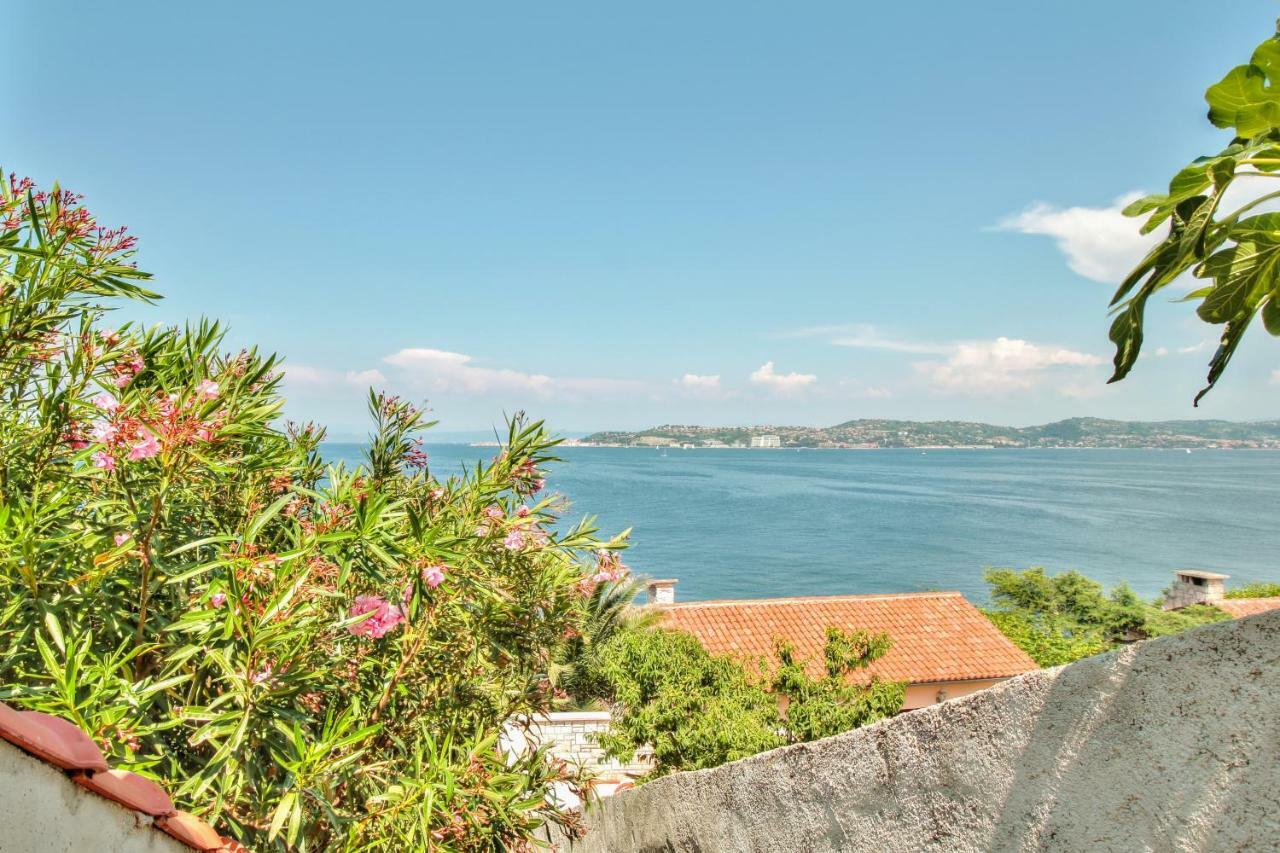 Apartment Katarina Crveni Vrh Ngoại thất bức ảnh